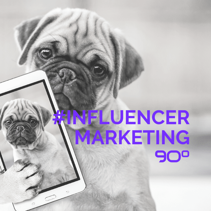 Influencer Marketing Pug
