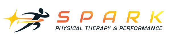 SPTP-Logo-color-light-horizontal-medium
